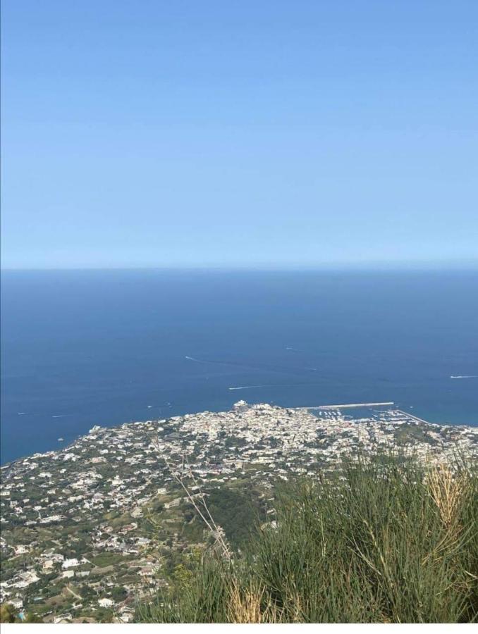 Appartamento Napoleone Ischia Island Esterno foto